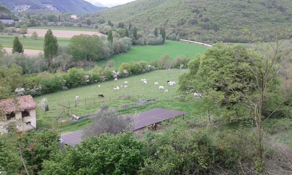 Santa Rufina Agriturismo Cardito מראה חיצוני תמונה