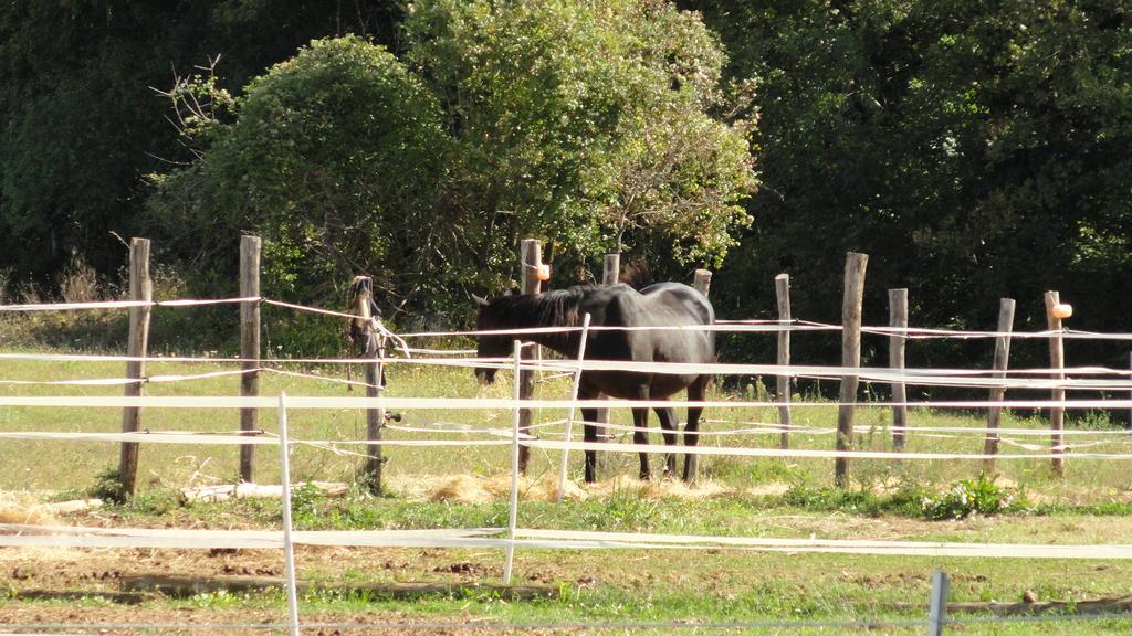 Santa Rufina Agriturismo Cardito מראה חיצוני תמונה