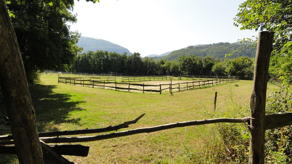 Santa Rufina Agriturismo Cardito מראה חיצוני תמונה